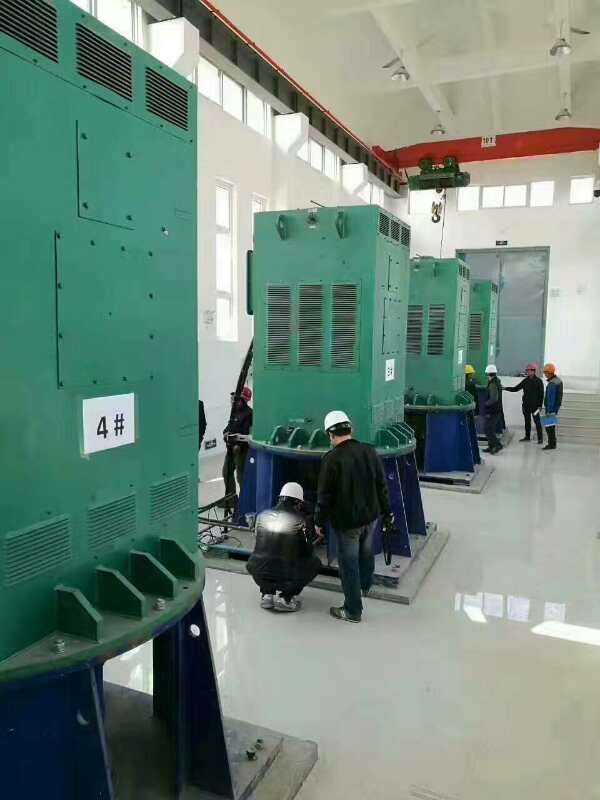 博罗某污水处理厂使用我厂的立式高压电机安装现场