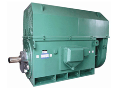 博罗Y系列6KV高压电机